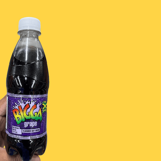 Bigga Soda (4 Pack) | QUICKSHIP
