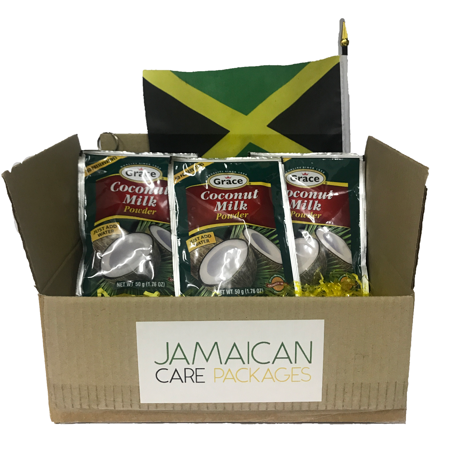 Coconut Milk Powder (2 Pack)