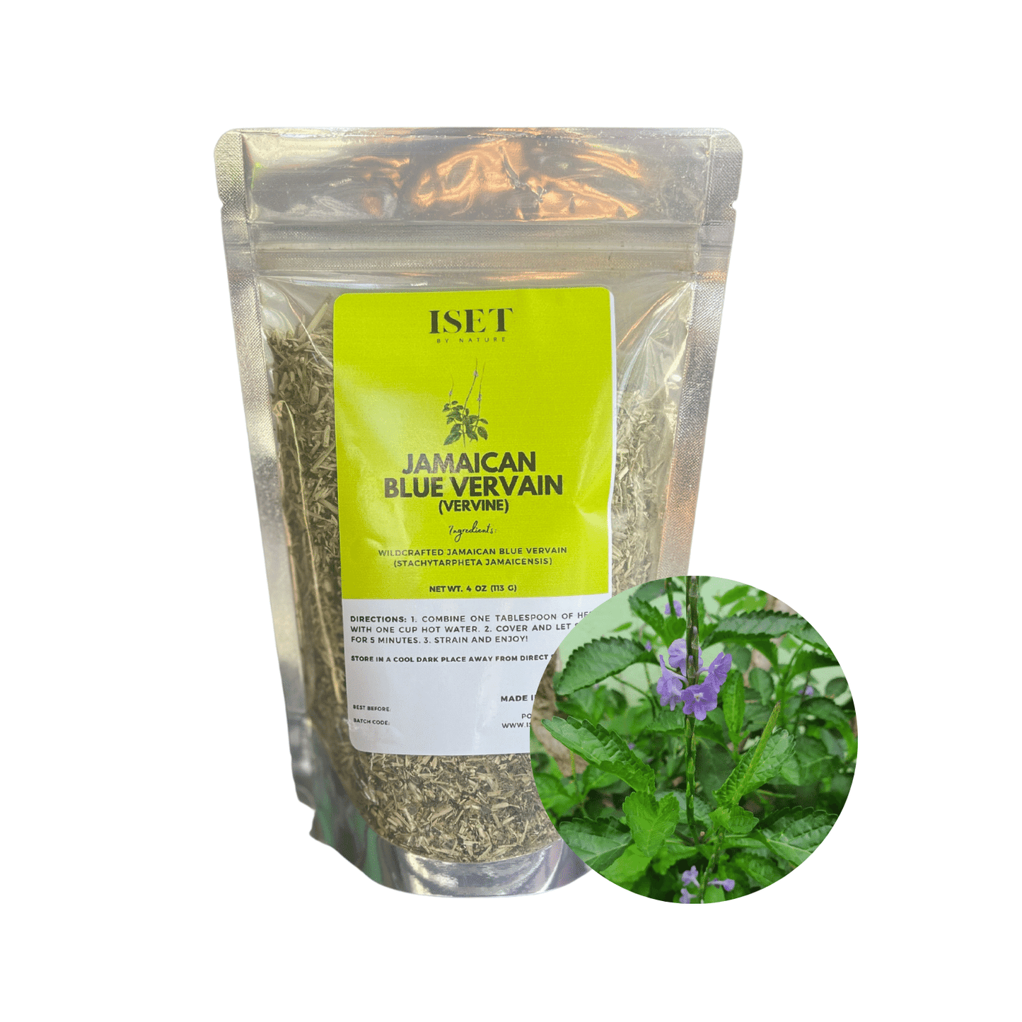 Jamaican Blue Vervain | Vervine