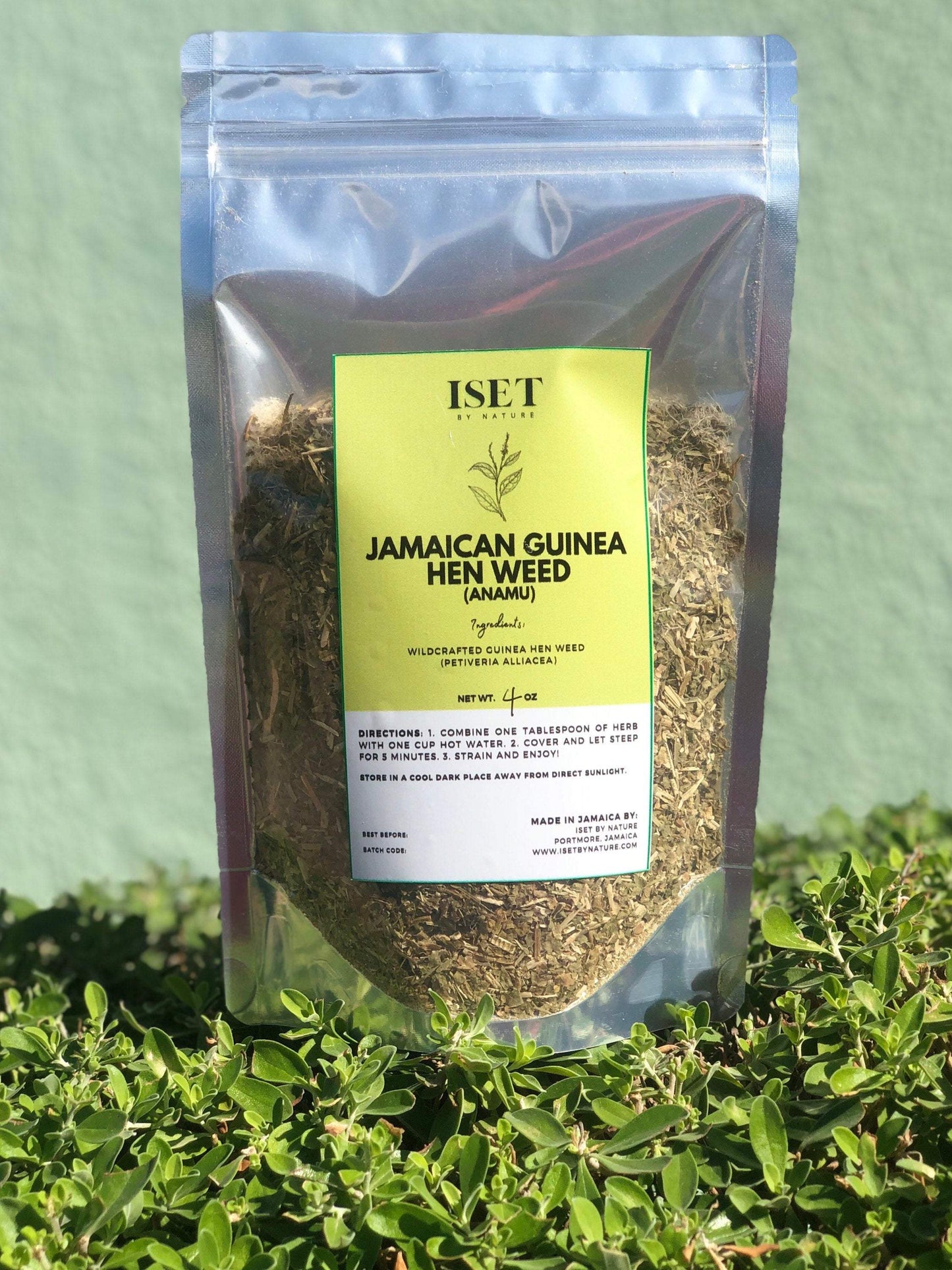 Jamaican Guinea Hen Weed (Wildcrafted) Anamu Herb