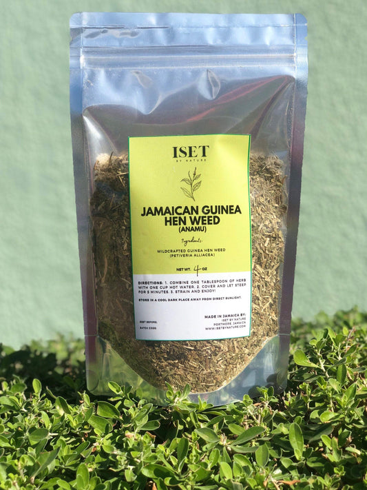 Jamaican Guinea Hen Weed (Wildcrafted) Anamu Herb