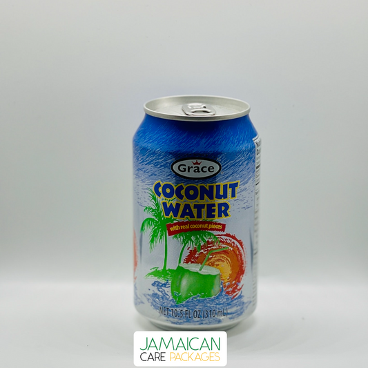 Coconut Water with Pieces (Bundle of 2) - JCPMart