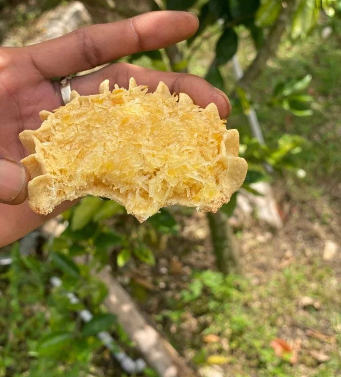Pineapple Gizzada (Pack a 12) - Candies Kitchen [Express Shipping Required]