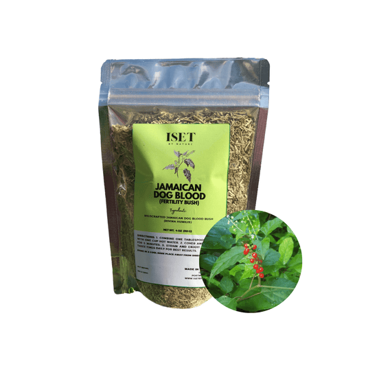 Jamaican Dog Blood Herb (Fertility Bush)