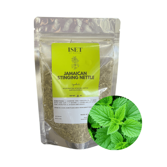 Jamaican Stinging Nettle 2 oz