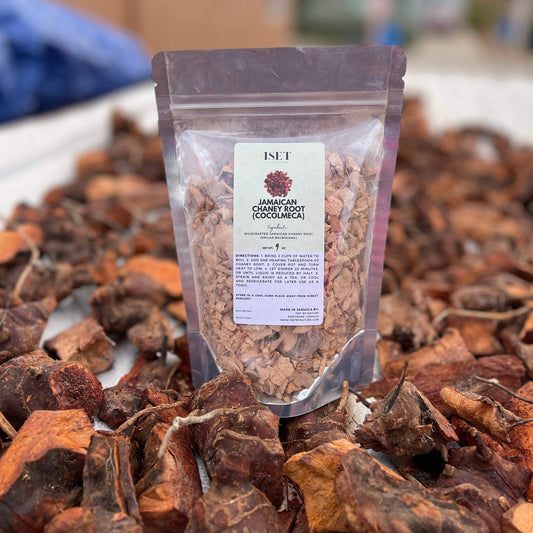 Jamaican Chaney Root | Cocolmeca | Chainy Root | Smilax balbisiana