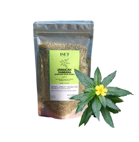 Jamaican Damiana (Ramgoat Dash Along)