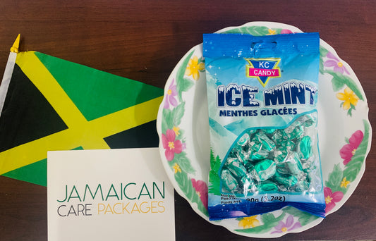 Icy Mint (Bundle of 2) - JCPMart
